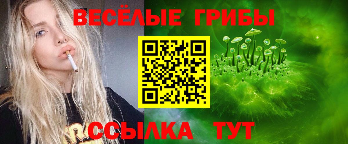 Псилоцибиновые грибы мицелий  Вход с VPN  Киселёвск 