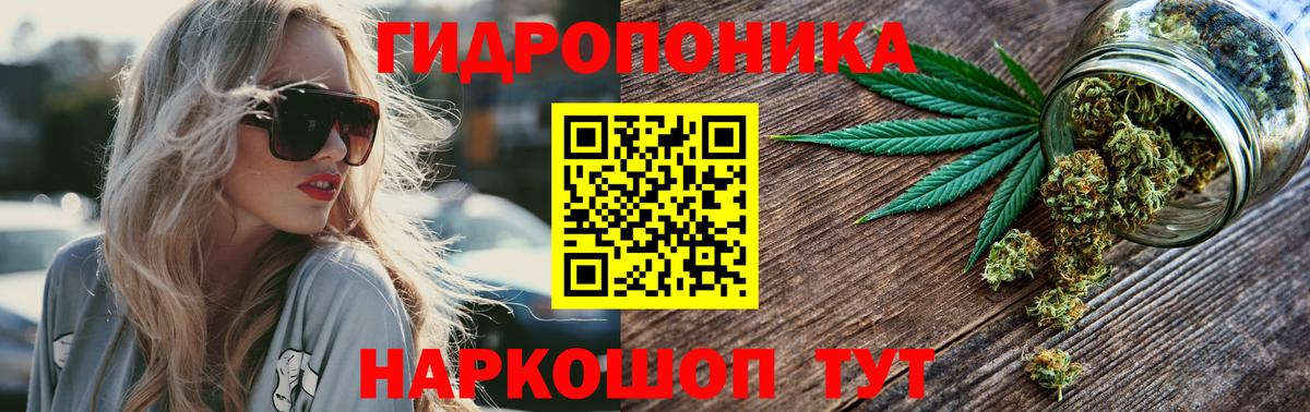 Киселёвск  Марихуана White Widow  Вход с VPN  Конопля конопля  Шишки марихуана план 