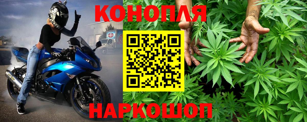 Конопля Amnesia Киселёвск